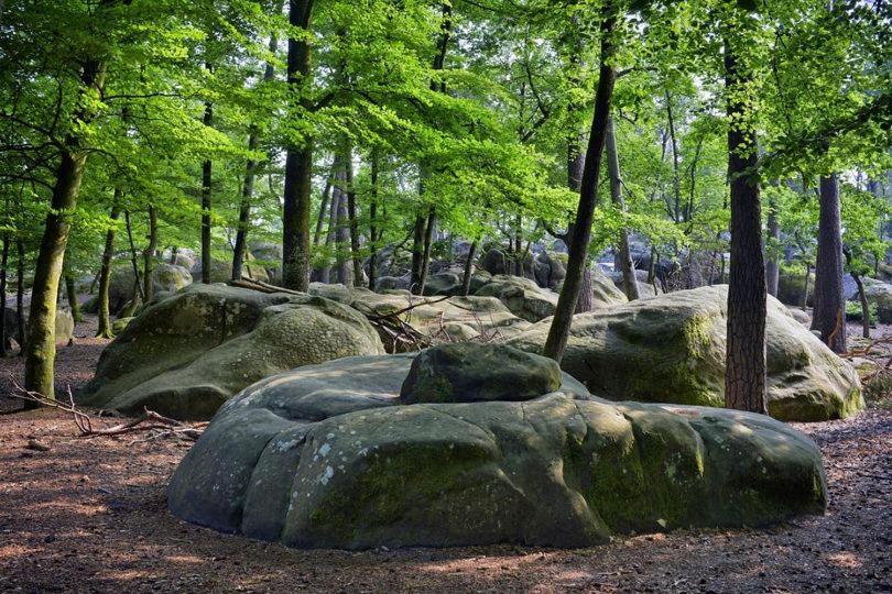 Maison De Charme En Foret De Fontainebleau Recloses Dış mekan fotoğraf